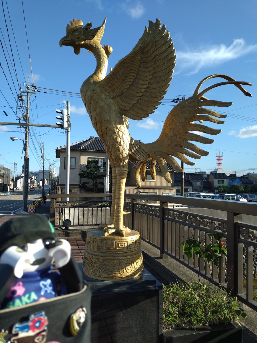 ボンボン＊プロフ必読＊ ページ HocusCrowカラス ピンクのカラス ホームエディション（A4サイズ）スペシャル