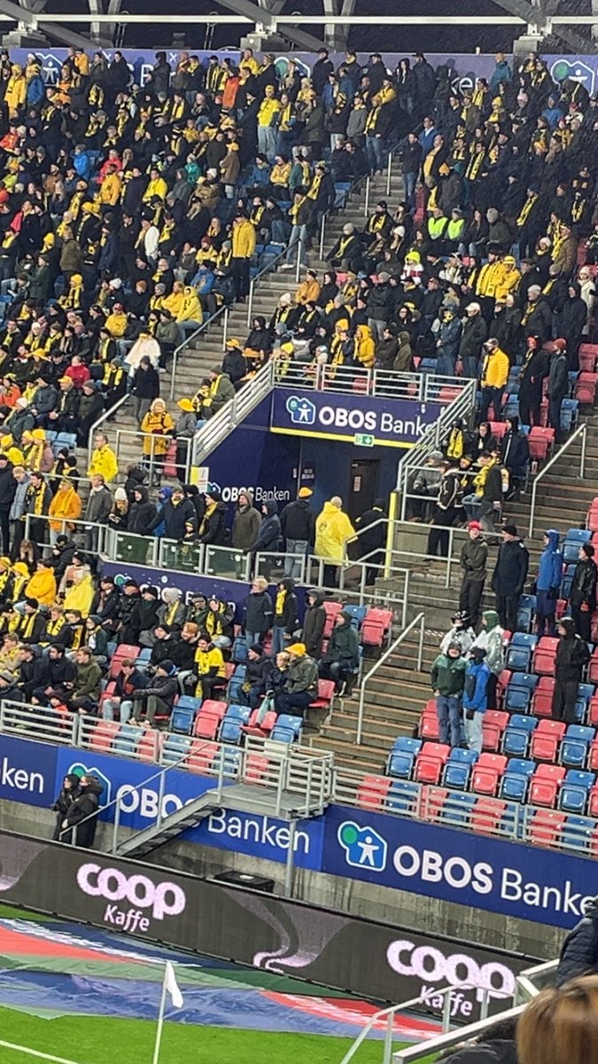 Hansjordnesbukta tweet media