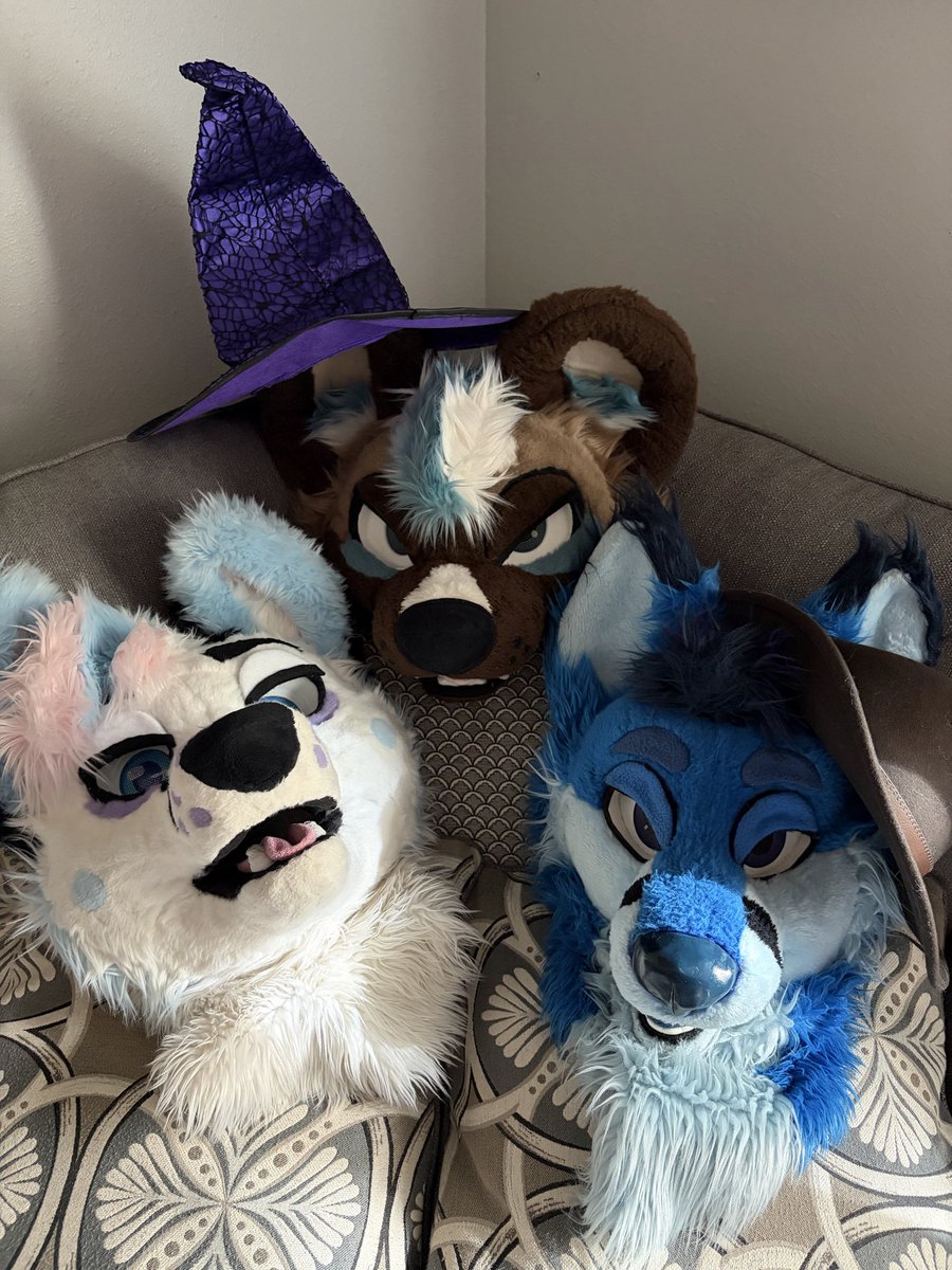 Malachi/Otto ✈️ tweet media