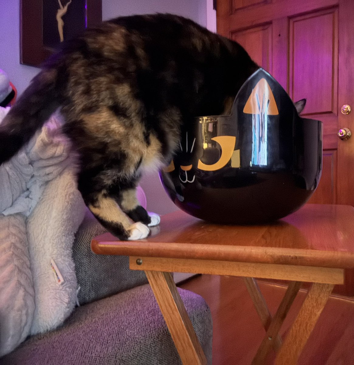 cubedacat's tweet image. mmm weftovr caandy