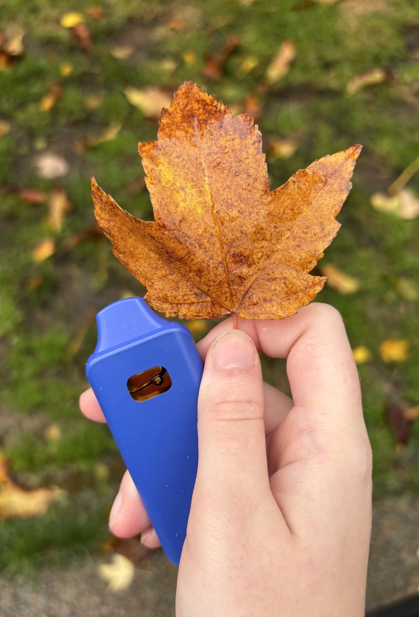 happy November, friends! 🍁🍂 (it’s super rainy out)