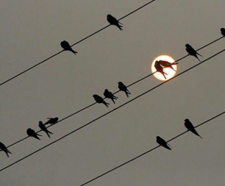 “İnsanın içindeki beklentiyi bitirmesi de bir vedadır.”