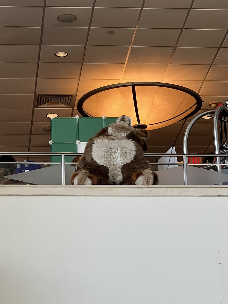 💎Diamond 💎🔜 Furpoc tweet media