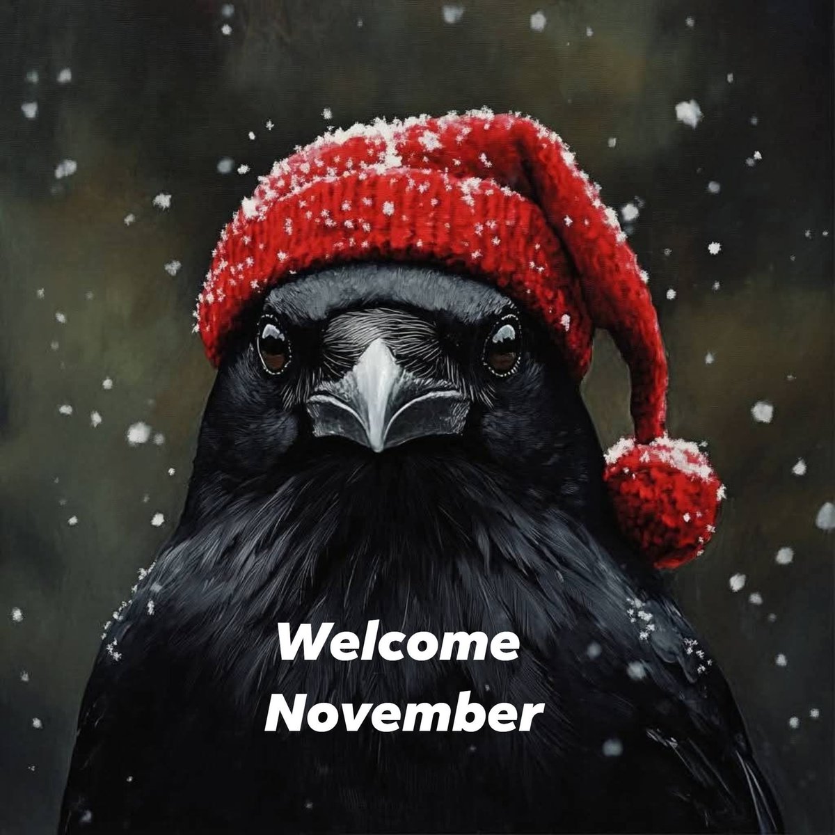 allaboutcrows's tweet image. 