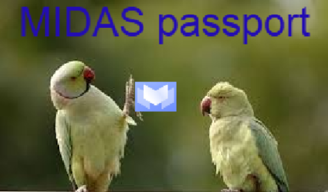 Demodex777's tweet image. CRYPTO HUMOR! Want a Passport to the Golden World of MIDAS? 😂Not What You Think!
No, don&apos;t get me wrong, this isn&apos;t about fleeing offshore with a fake ID. This is your golden ticket to a world where everything MIDAS touches turns into profit! 🌟💰#Crypto #MIDAS #DeFiHumor #HODL