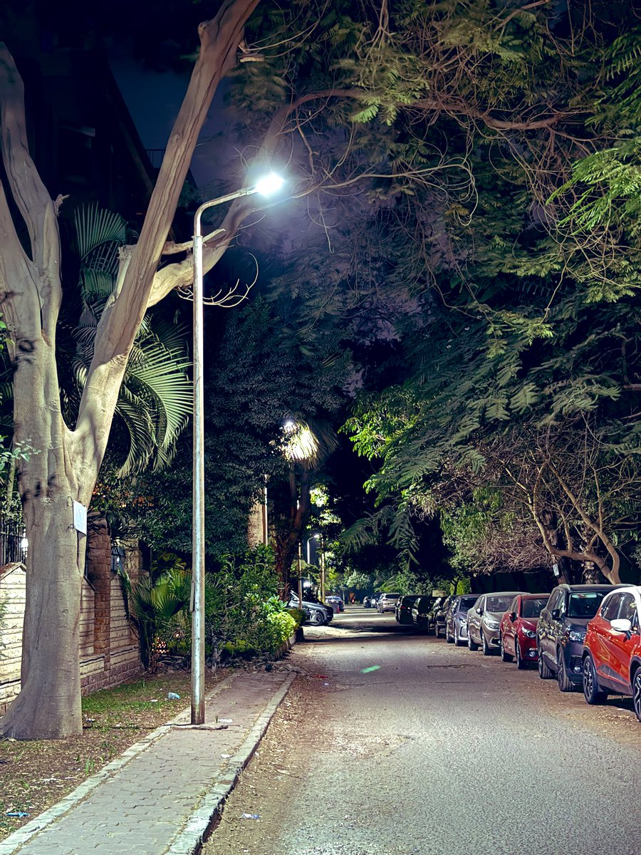 Maadi Nights ✨