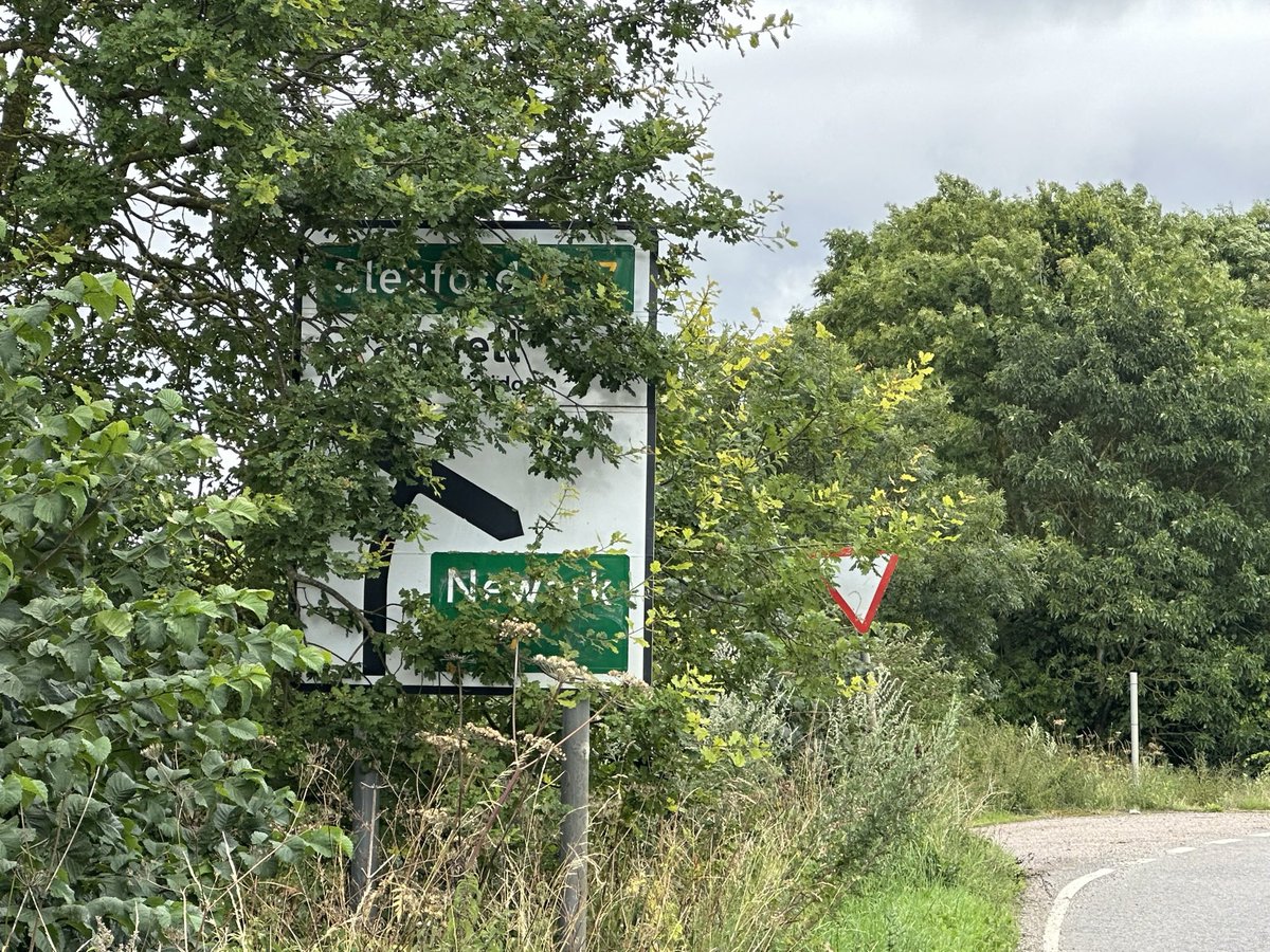 wheat_daddy's tweet image. Not only are they dirty they are obscured by trees and overgrown hedges. What a waste of money putting them up in the first place.