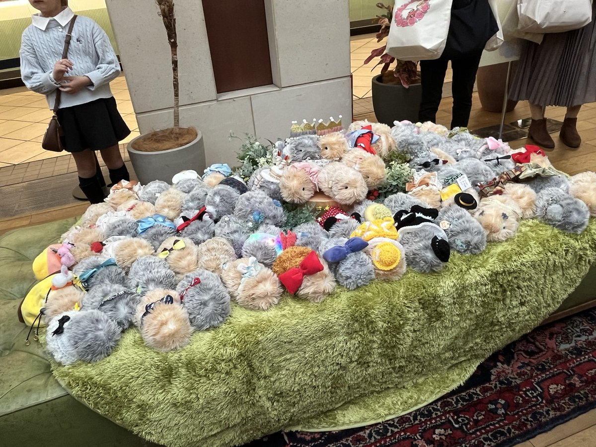 もるぴー&モフリンのちも (@cavy2929) / Posts / X