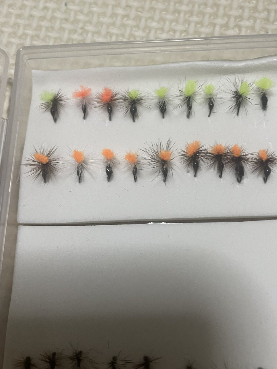 トンちゃん様♡専用ページ.。.:*♡✿ฺ トンちゃん (@__Ton_chan__) / Posts / X