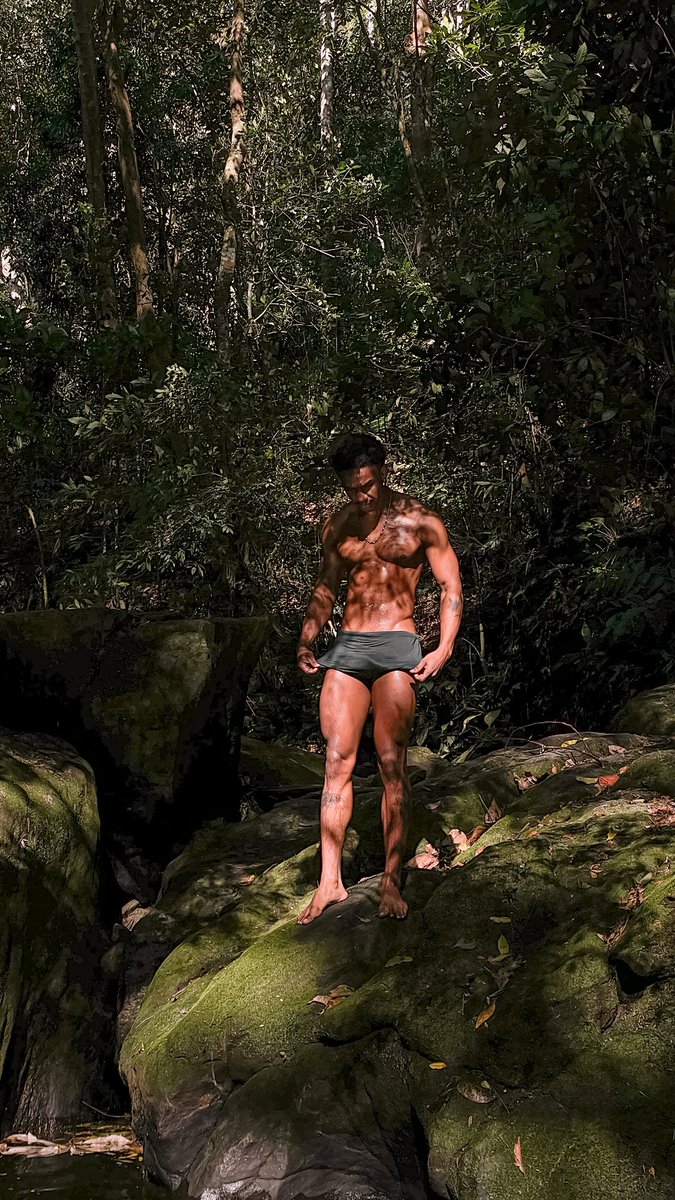 Pétrique (@petriquen) on Twitter photo 