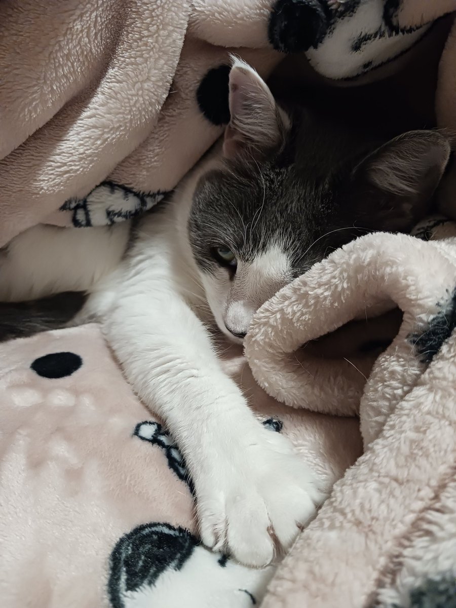 egglinsbest's tweet image. leaf me alone ime. sleeby