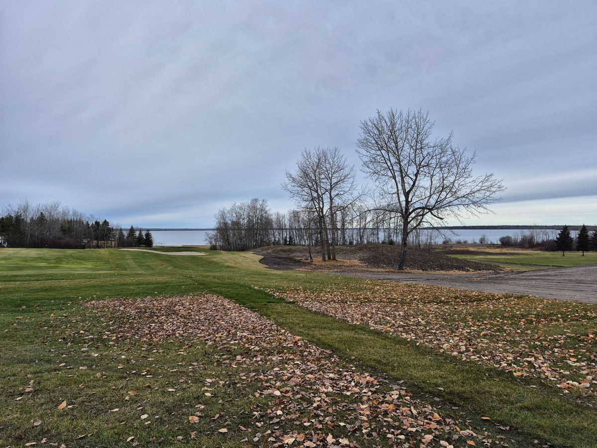 A 2 day reprieve in the weather has me spraying my final app on tees &amp; picking leaves. Wasn't sure I'd get the chance. Getting closer to wrapping up this long but productive season. #LLBGC