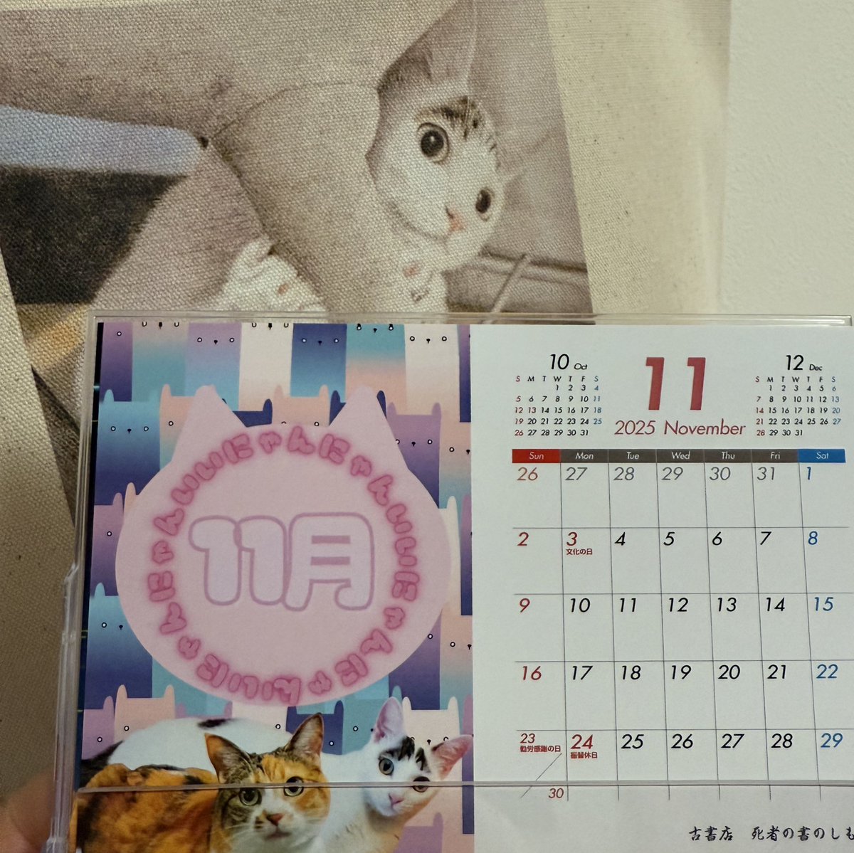 こねこ屋様♡ありがとうございます♡ きなこ】 こねこねハンバーグ (@Kinakomochi_128) / Posts / X