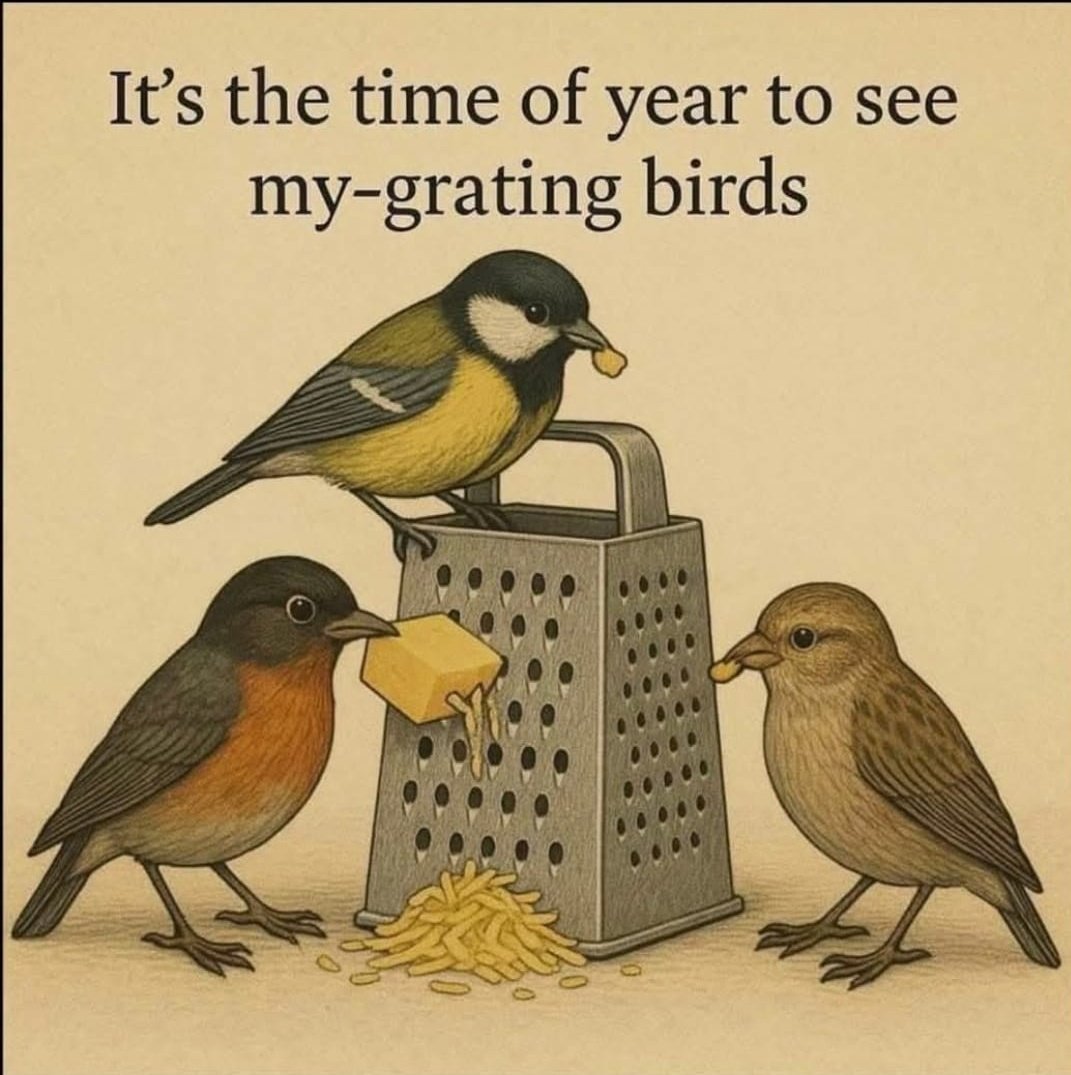 foreverbluetoo's tweet image. #saturdayfun 🤣🤣🤣🤣