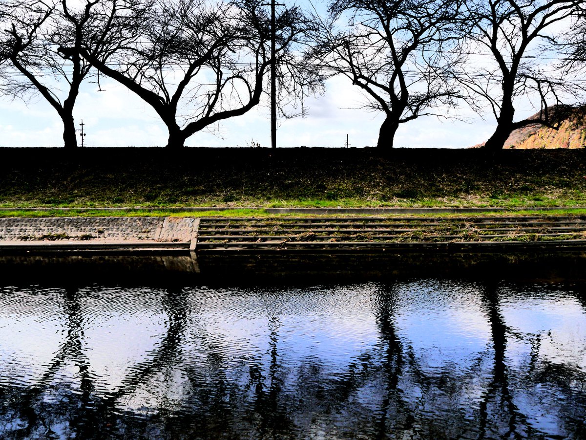 kafka828's tweet image. 