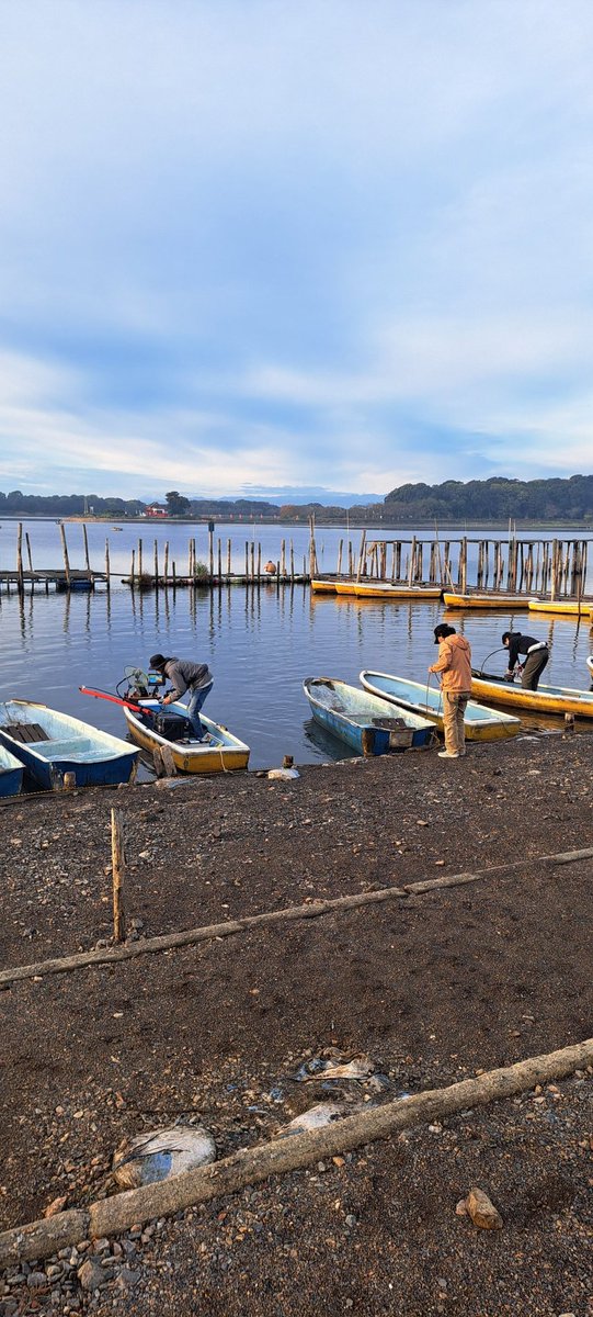 多々良に来たら
なんか見たことがあるオジサンがいる‼️
#スミス
#多々良沼
#ペスカリブレ
#エルハラペーニョ