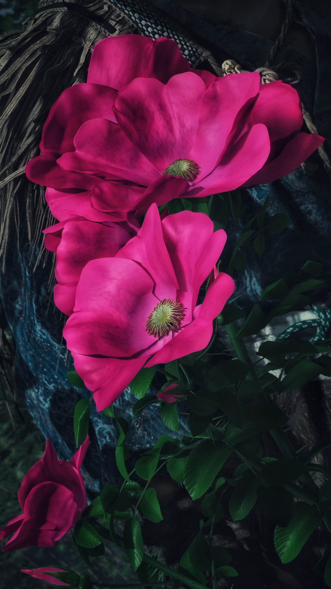 Ghost of Yōtei 

#VPRT 
#GhostofYotei 
#VirtualPhotography