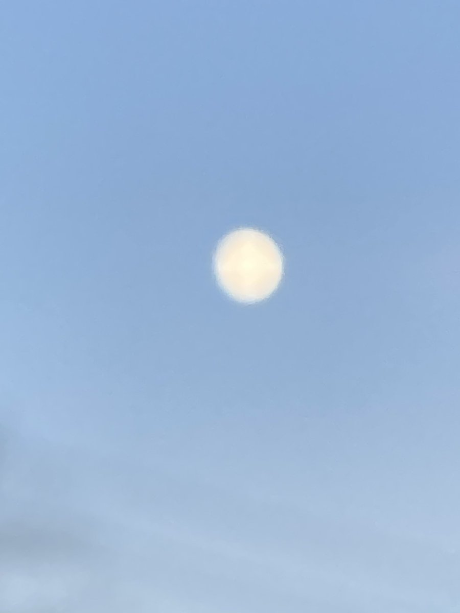 SmartAssKitties's tweet photo. Lunar Stuff for #CatParents on #Caturday psppsssp the dont know DST shit so you will still get woke up at #CatOclock Bishes 
@Geraldi91000465 @MissyBBBobtail @PawsleyTheCat @thekittenwinksy @LolaLegged 
I apologize I forgot some of yall 
But please mention yooziz #Moon https://t.co/PL6FV33B6G
