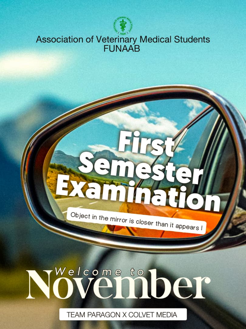AVMS_FUNAAB's tweet image. November’s here already. 👀
Exams are close — but so is your win. 😉
Calm focus. Soft wins. Steady progress.

Happy New Month, AVMSITES.🥳🥂