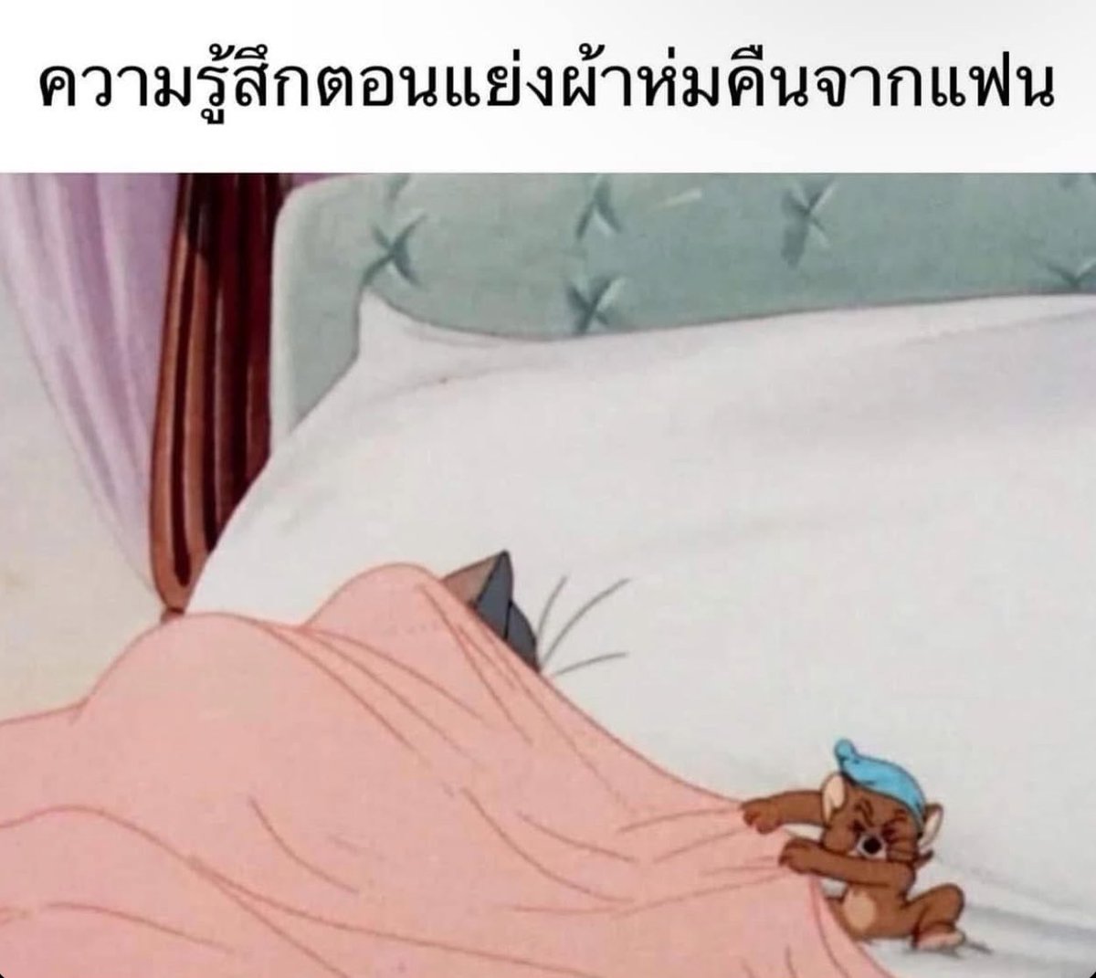 ช่างแม่ง🐰🏳️🌈 tweet media