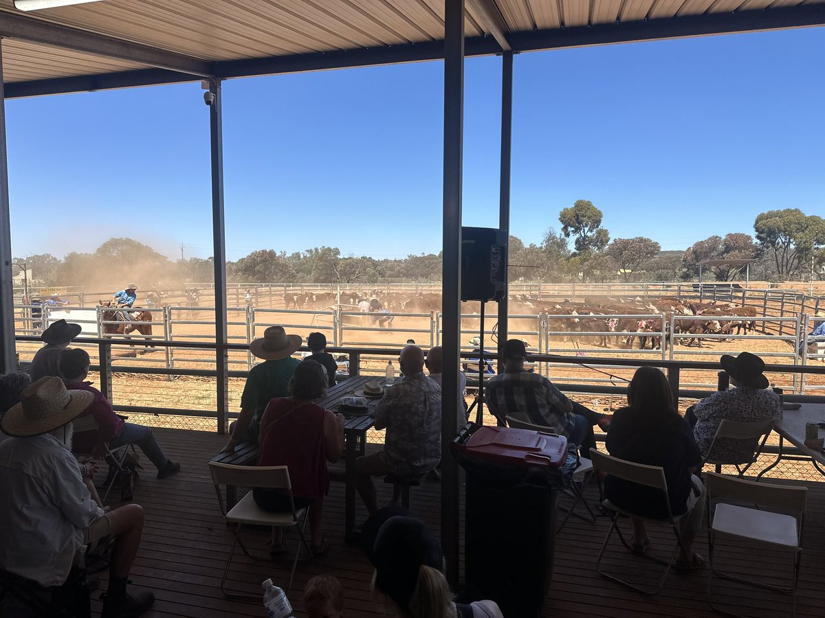 DaleBascomb's tweet image. bloody fantastic day..