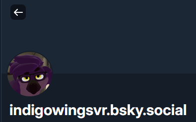 IndigoWings 🔞 tweet media