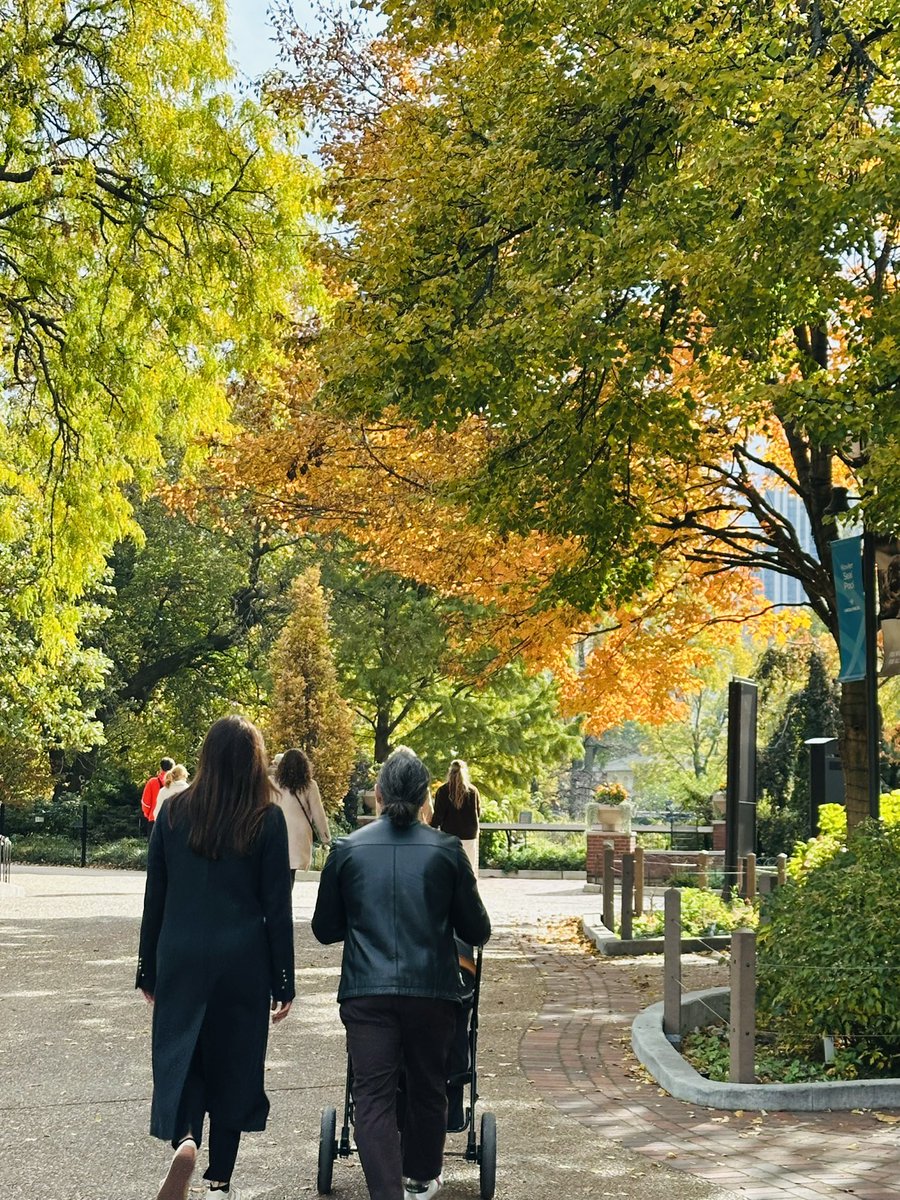 Fitz🍀 tweet media