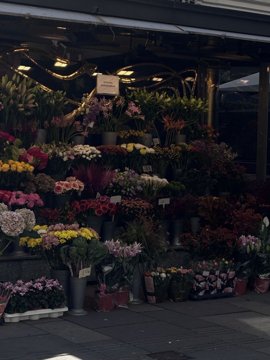 i3Moment's tweet image. Flowers