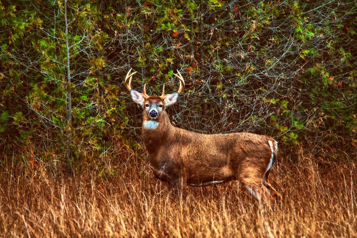 Time to move ....... <a href="/CanGeo/">Canadian Geographic</a>