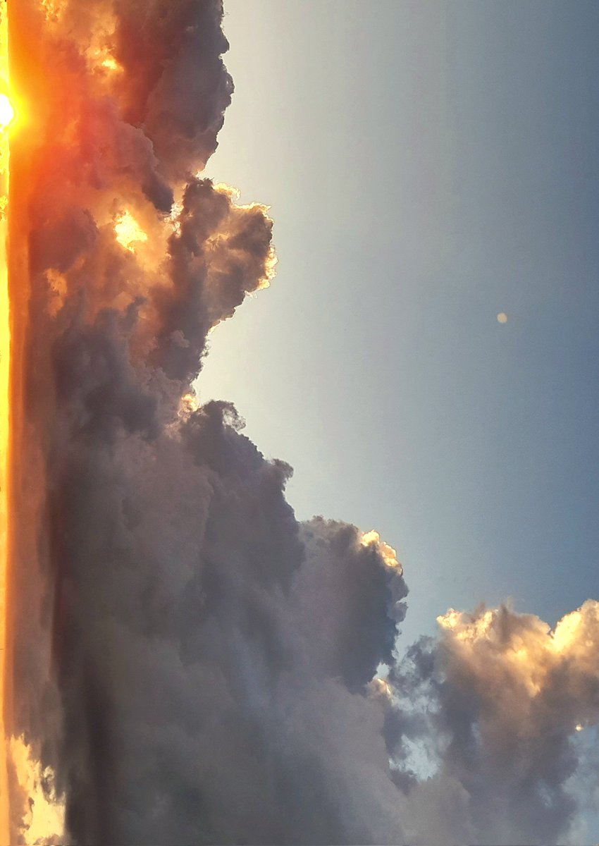 L'anima vola
mica si perde.

L'anima vola
non si nasconde.

L'anima vola
cosa le serve?

L'anima vola
mica si spegne.

Elisa

🦋

#2novembre