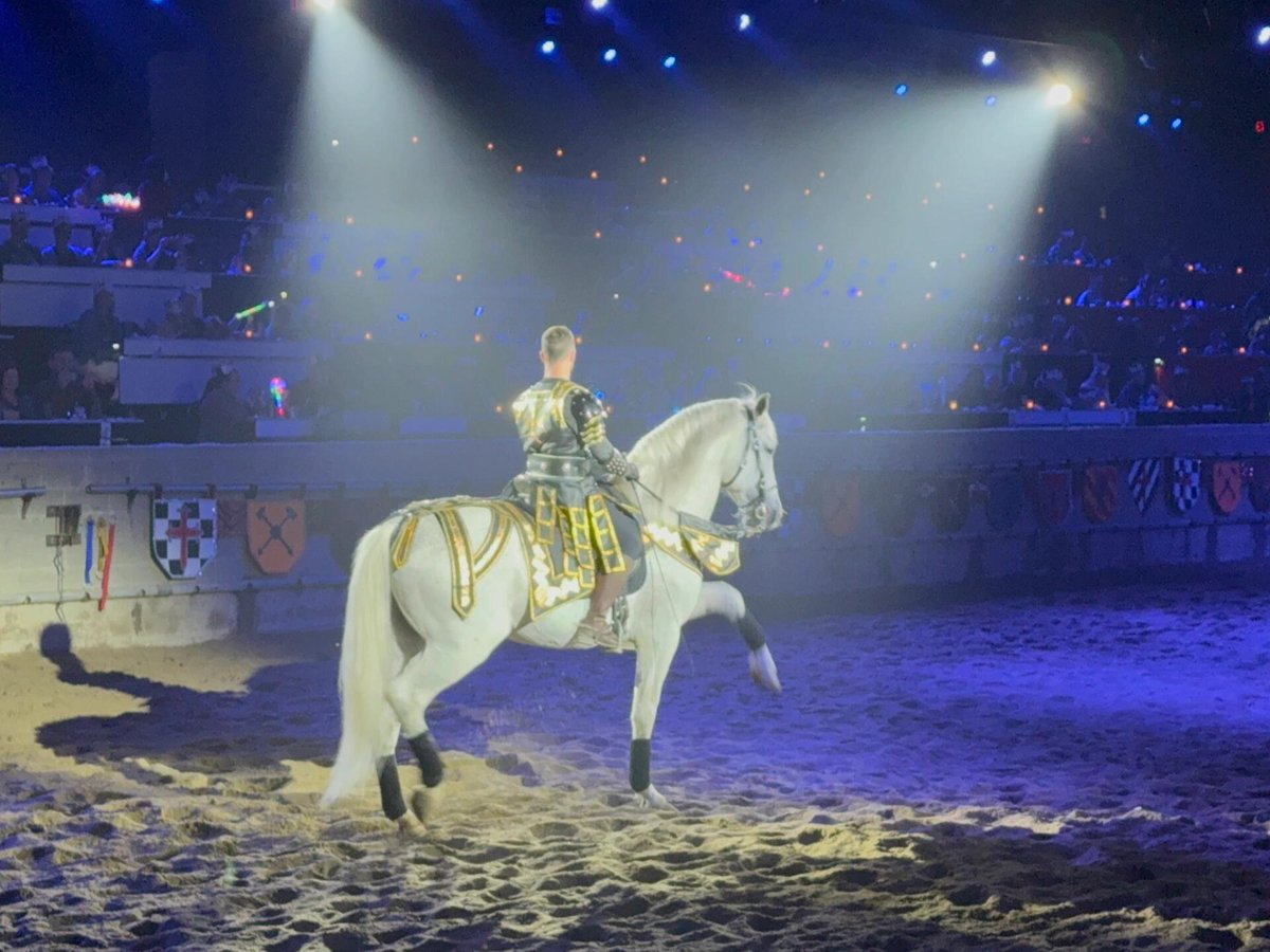 c_Delight_c's tweet image. Travel back to the Middle Ages