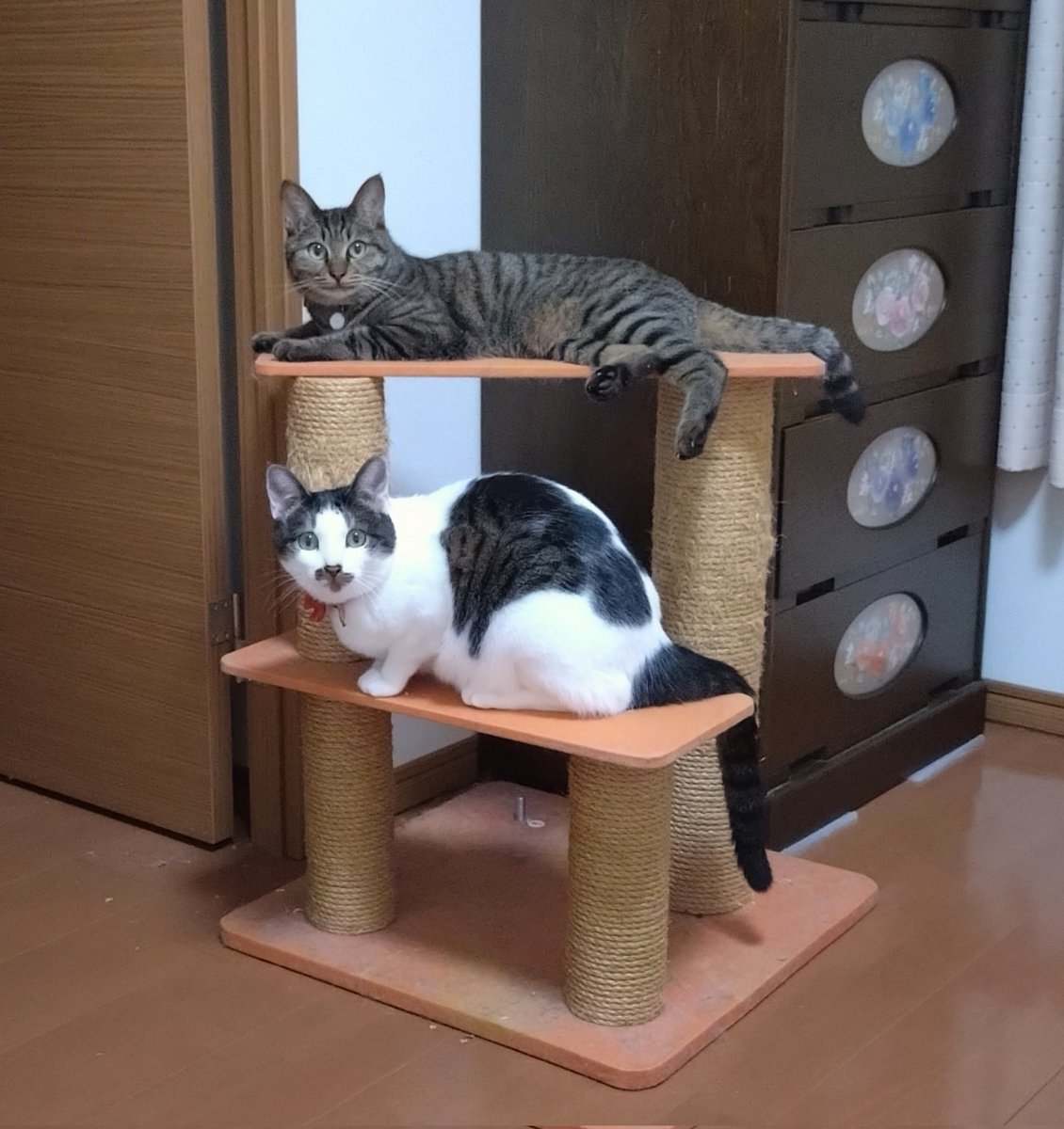 みぃ (@Js4zeKqmJxbnVBS) / Posts / X