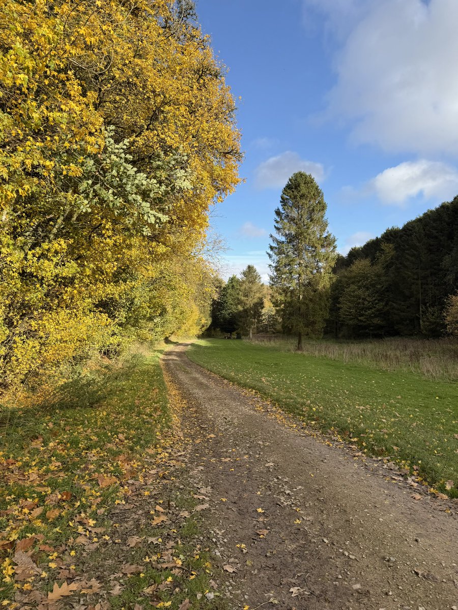 hikingshawty's tweet image. a beautiful start to november