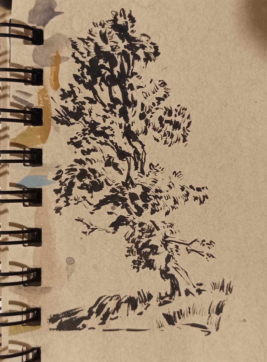 𝐏 𝐀 𝐕 𝐋 𝐕 𝐒 tweet media