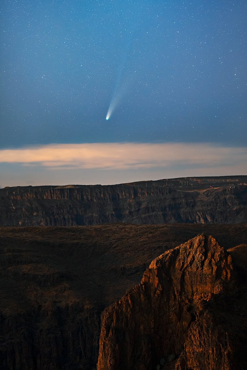 Marina Prol tweet media