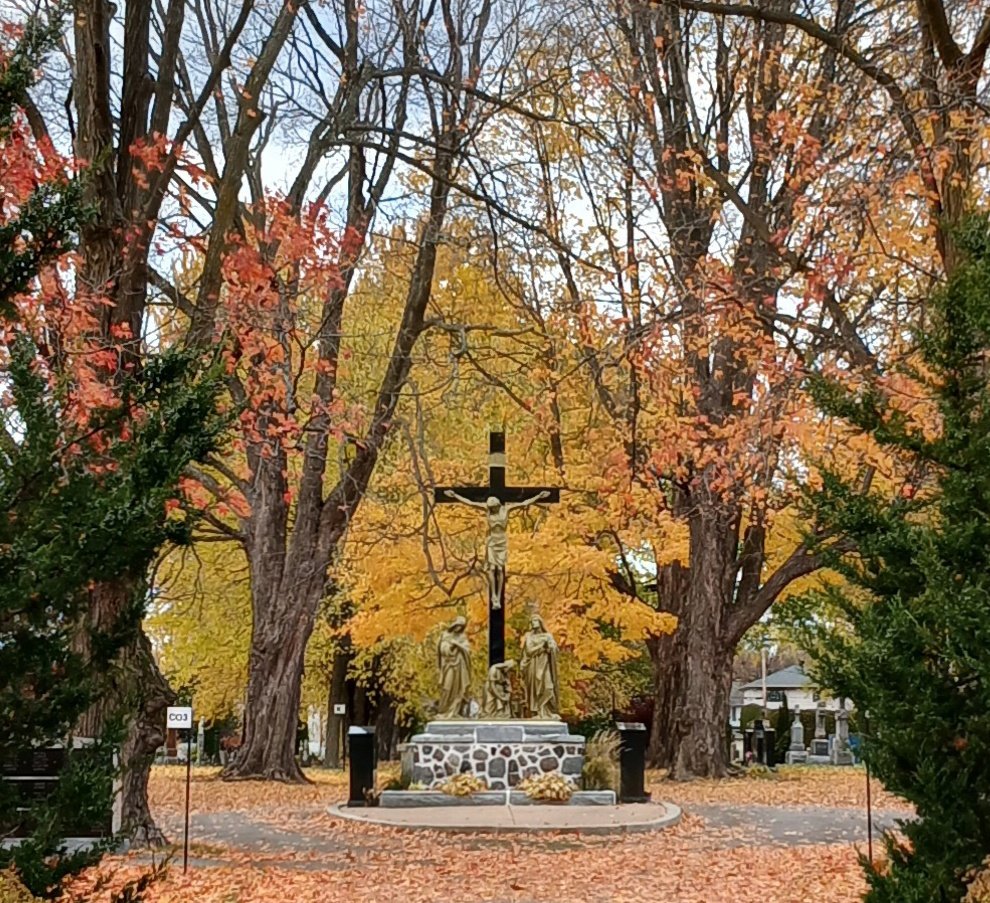 JohnZwicker1's tweet photo. #AllSaints
Today's #VisitACemetery to pray for the #HolySoulsInPurgatory
Eternal rest grant unto their souls O Lord & let Your Perpetual Light shine upon them
May they rest in peace
#November
#MonthOfTheHolySoulsInPurgatory
#MonthOfTheDead
#MonthOfOurDeceased
#Purgatory https://t.co/vy1xXRArYh