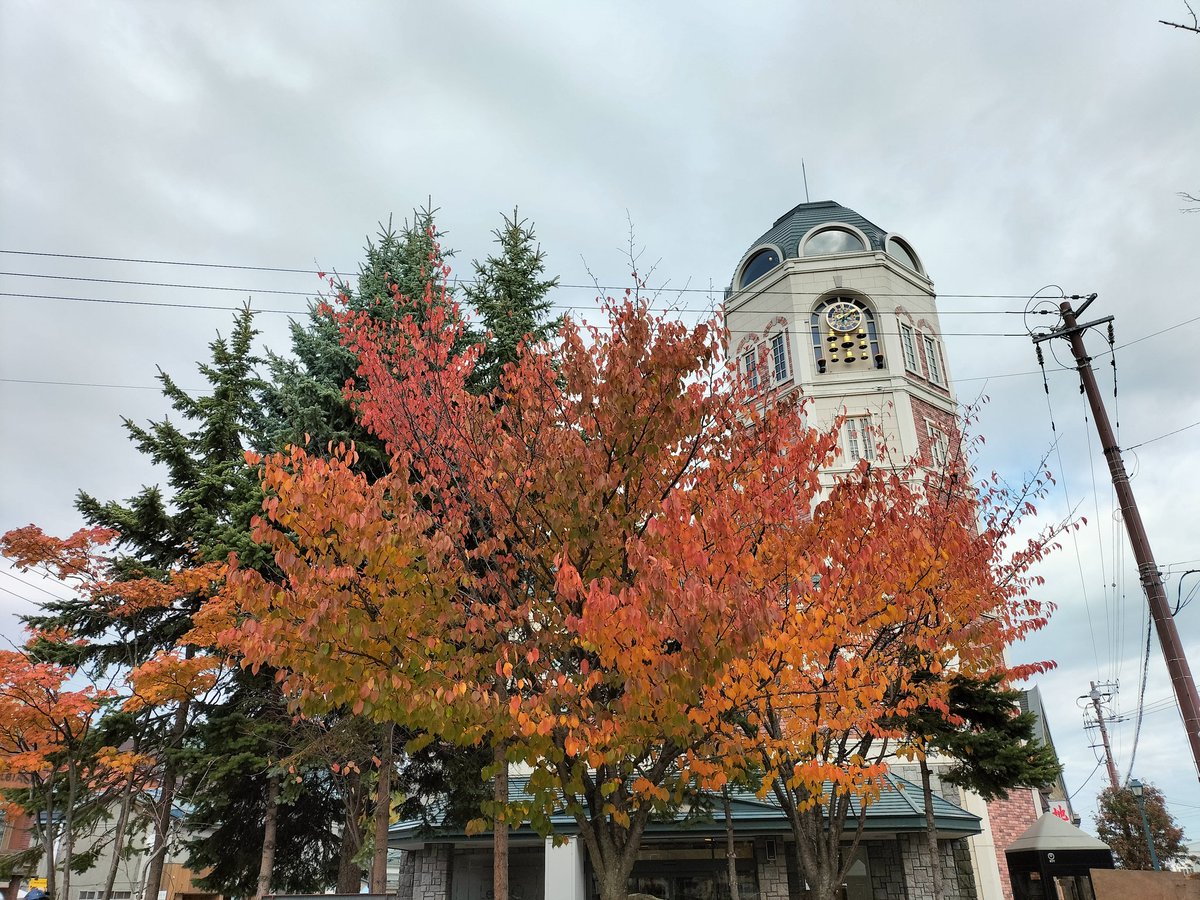 EtoHitonori's tweet image. ＃小樽よいとこ ＃小樽の風景
年末に発表される 今年の漢字
を予想すると「熊」じゃないかと思うんだけど🐻😁どうかな