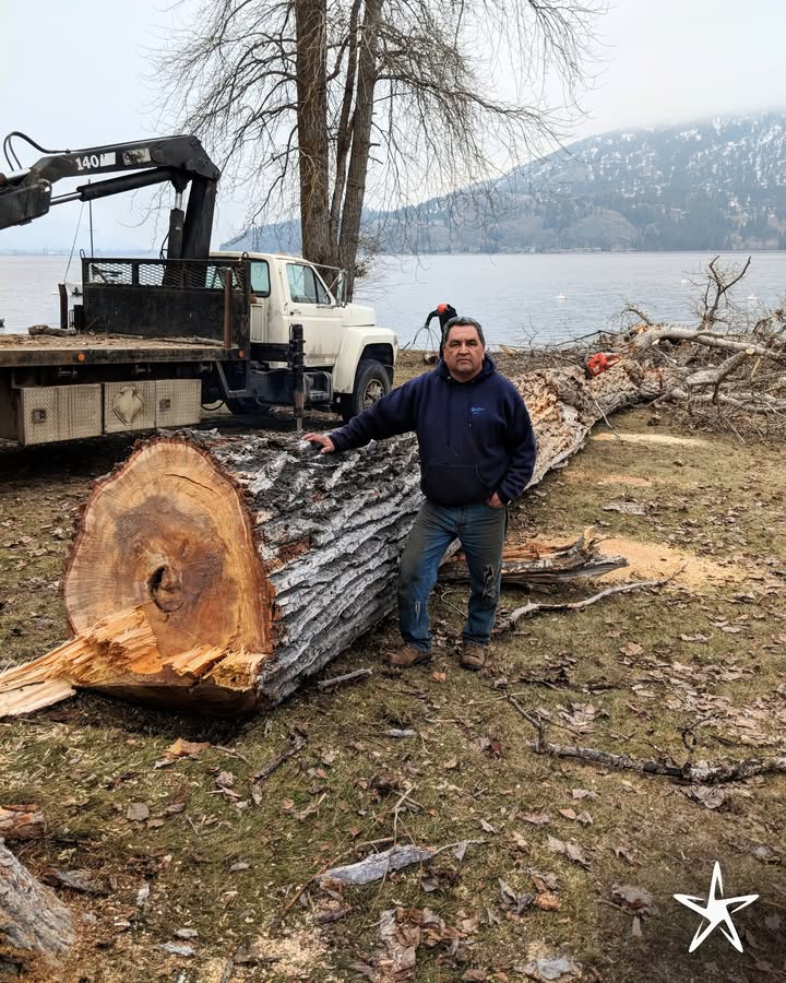 silverstartree's tweet image. 🌲 Timber with a View 🪵
From towering giants to solid slabs, every log has a story, and we’re here to move it with care and grit.

📞Book your service at silverstartree.com 

#LoggingLife #BCForestry #HardWorkPaysOff #LakefrontLabor #TrueGrit #WestCoastWood #BlueCollarPride
