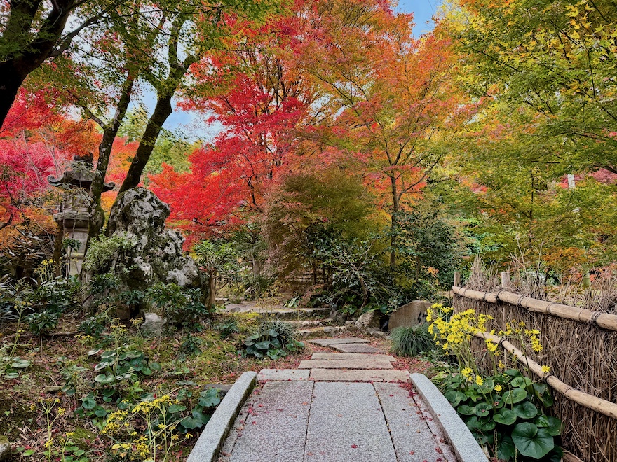 ’59年 小柴外一幻の技法◆岩城硝子 パート・ド・ヴェール『桜・紅葉』緑プレート 59年 小柴外一幻の技法◇岩城硝子 パート・ド・ヴェール『桜・紅葉』緑