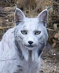 Toad vous épie 🔳 ☢️💸 (@toadvousepie) on Twitter photo 