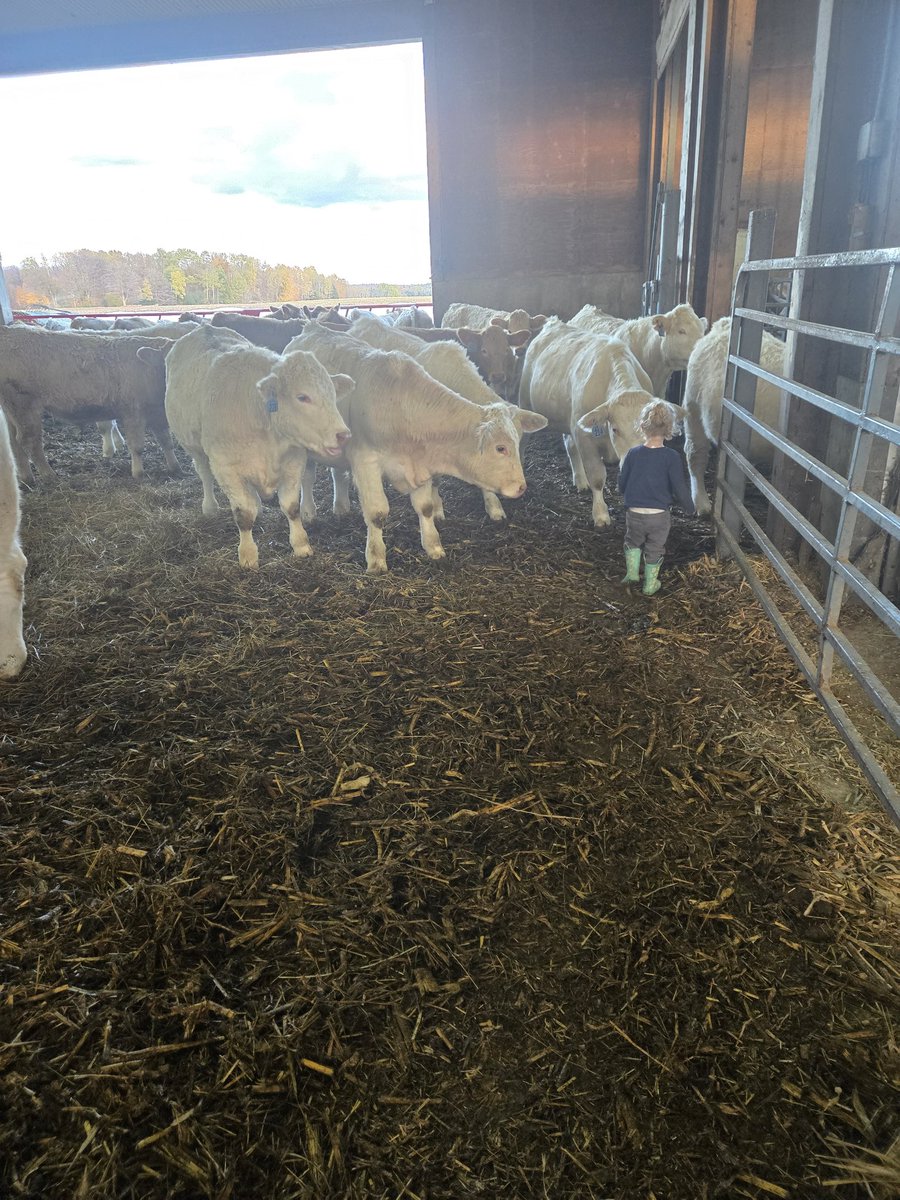 Jeff Martin tweet media