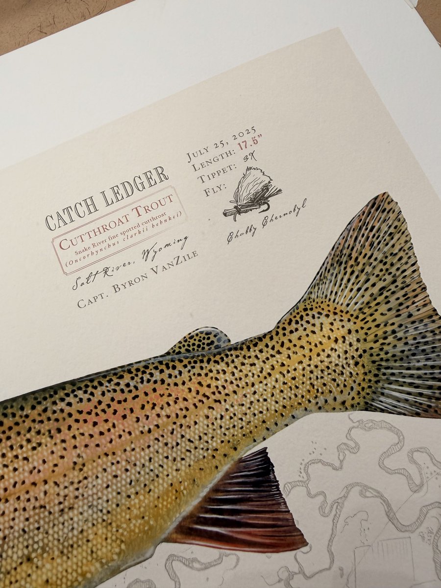 abacharillus's tweet photo. Memorializing a great trip with my daughter catching Cutthroat on the salt river Wyoming. Watercolor and gouache on paper https://t.co/DPwmUecjql