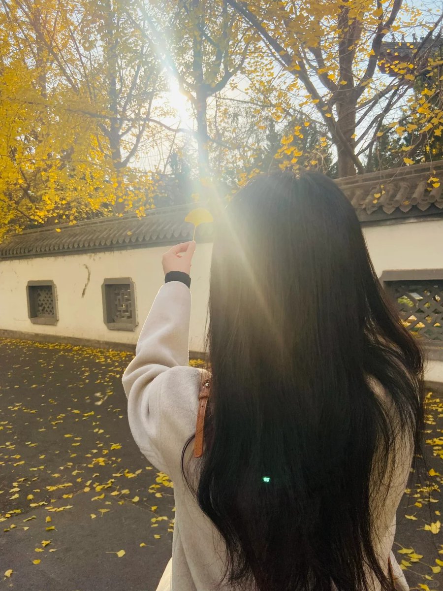 JaneGids's tweet image. Nature doesn&apos;t need filters during autumn 🍁💫Every corner is art, every moment is soft, every color feels like a warm hug 🤎Captured memories, not just photos 📸.