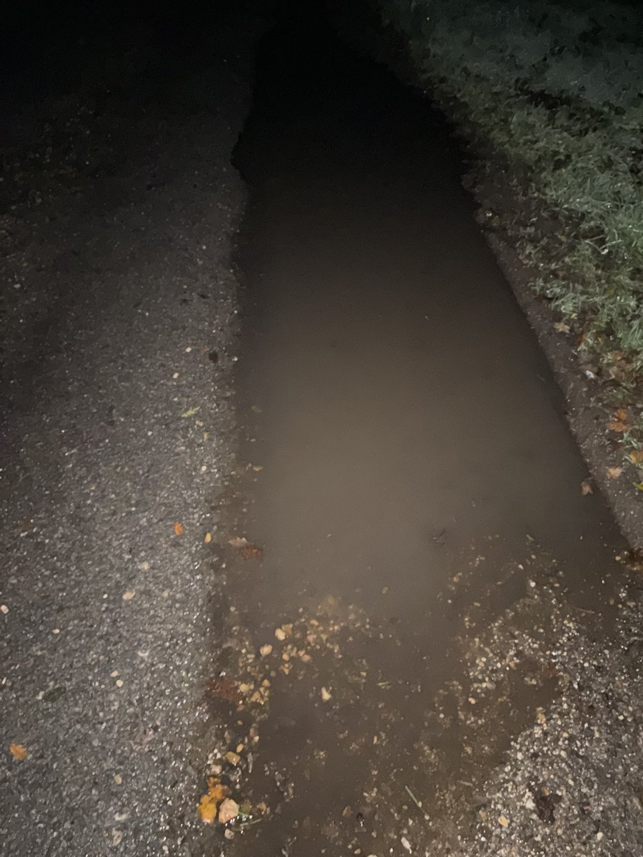 babyduck tweet media