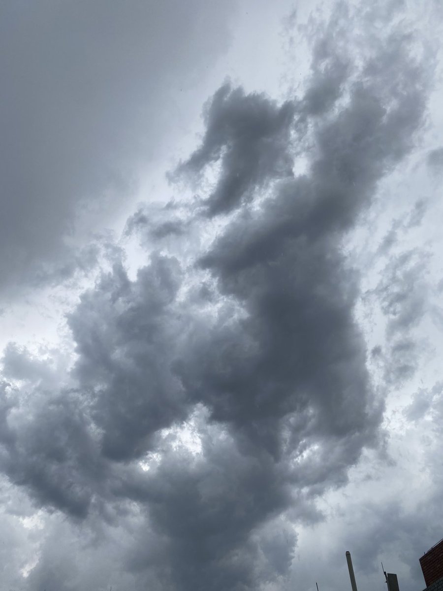 Rayvcallace's tweet image. どんより曇ってる
また朝から雨が降りそうですね😢