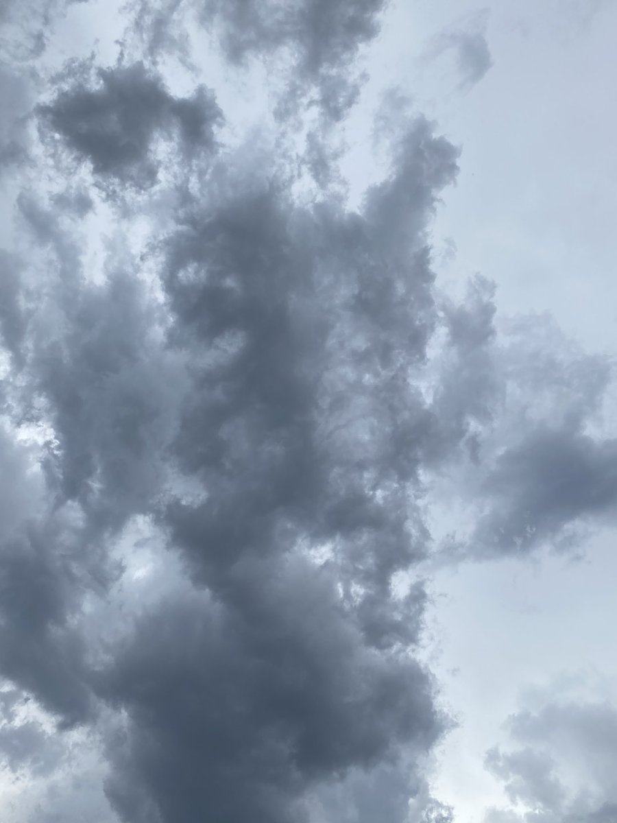 Rayvcallace's tweet image. どんより曇ってる
また朝から雨が降りそうですね😢