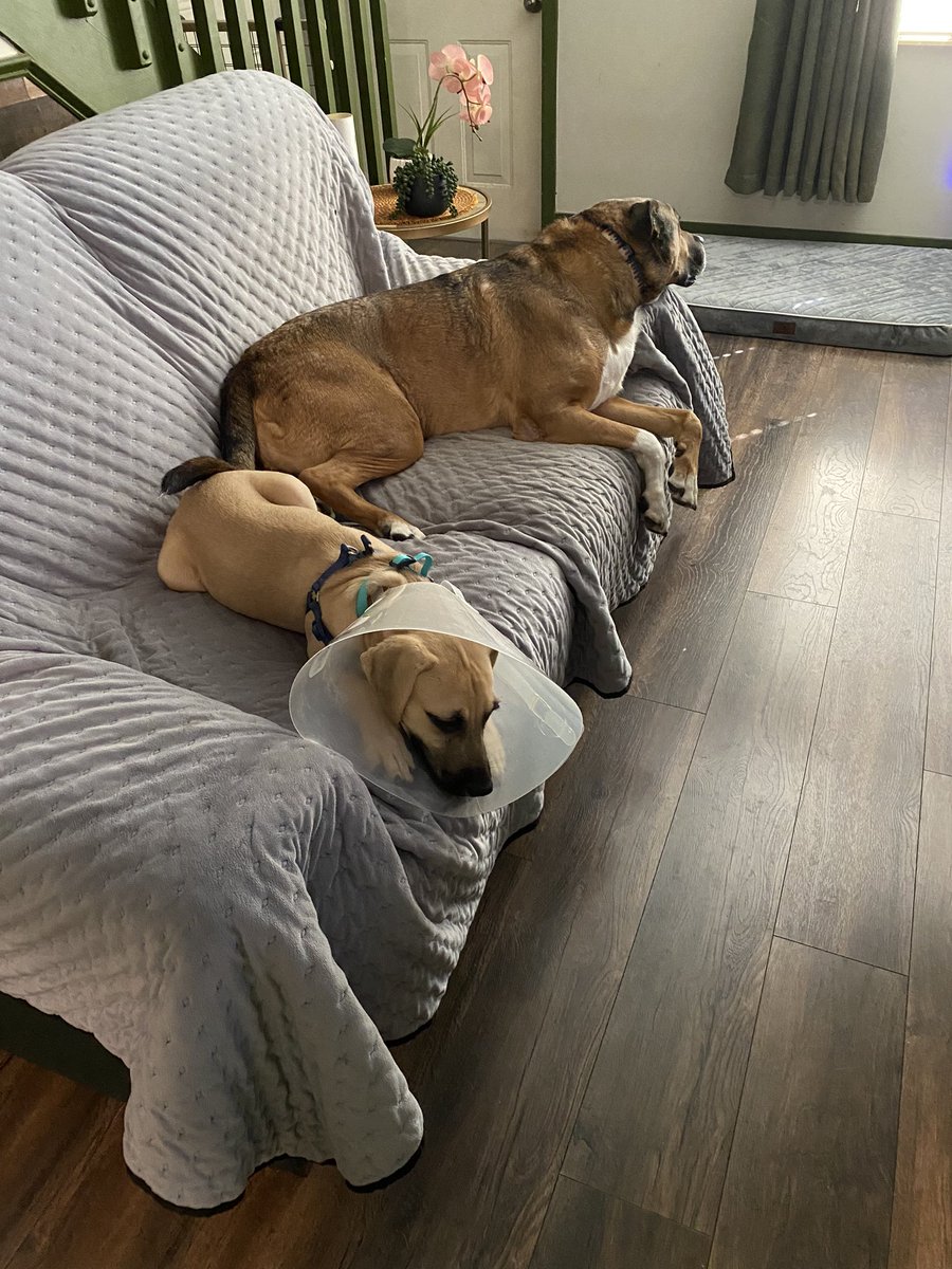 NiceGuyEricFitz tweet media