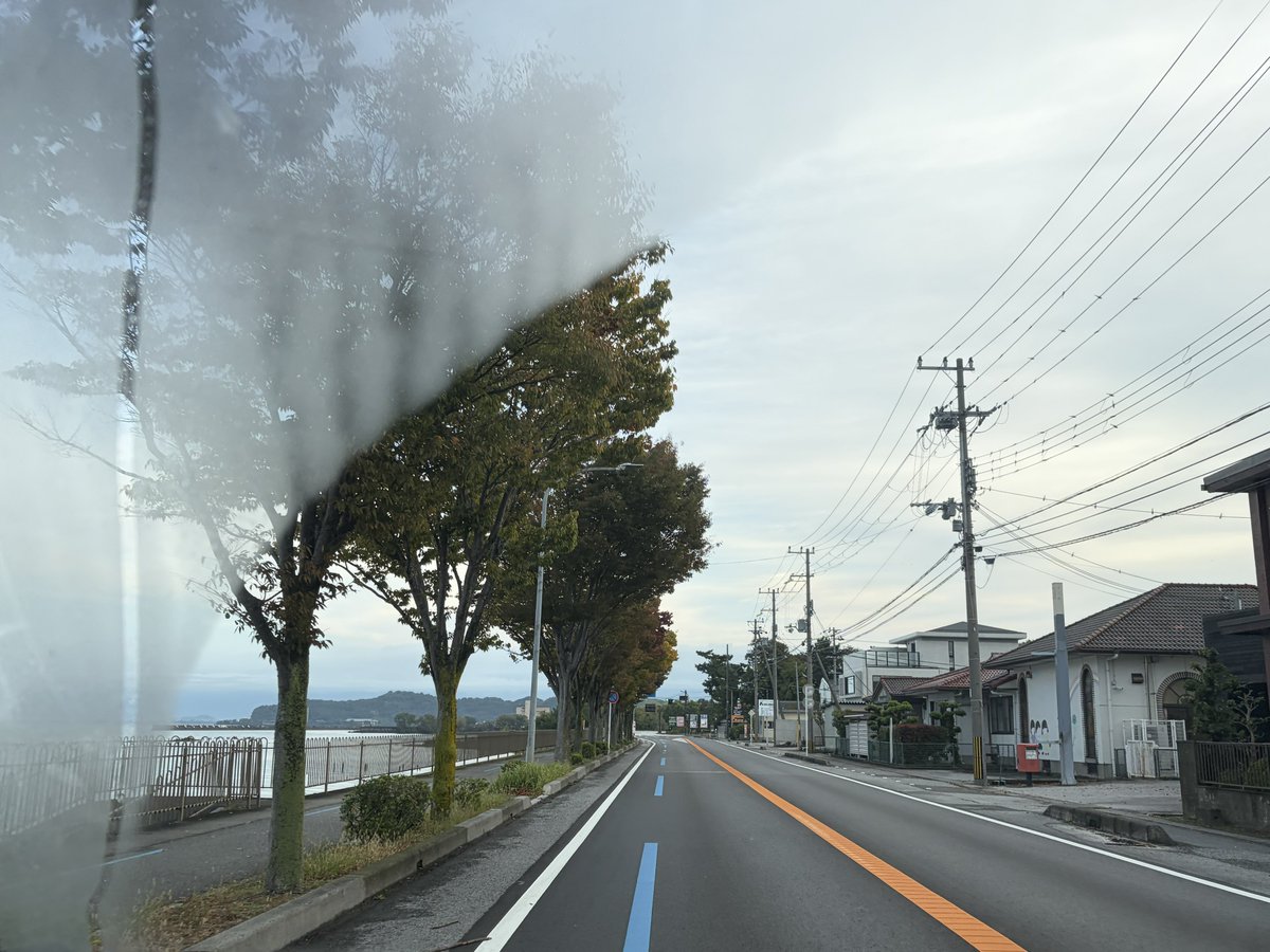 r732018's tweet photo. 新しい一日の
目覚めと出会いに感謝
皆様おはようございます

朝の冷え込みで起きにくくなってきました
今朝は久しぶりに地域猫さんが待ってたのでご飯をあげると、さっさと食べて満足して移動されました

どこで寝泊まりしてて、どこに行くのやら
ここ数年見る子ですが、元飼い猫さんか脱走した子？？
堂々としてます

今日も喜ばれ共に笑顔溢れる佳き一日になりますように

クリニックの定期清掃へ行ってきます
※車中より

 #未来への自分史r7
