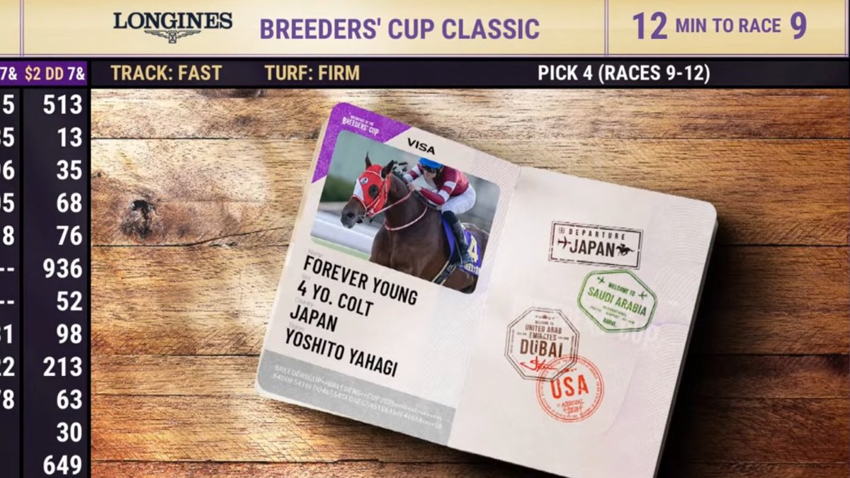 フォーエバーヤングをパスポートで紹介するのすき #ブリーダーズカップ