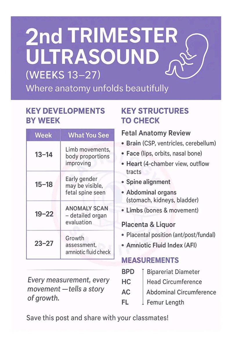 mznljrdy47597's tweet photo. What You See in 2nd Trimester Ultrasound!
Learn what every sonographer should look for between 13–27 weeks — from brain to bladder, femur to four chambers!
#Ultrasound #sonologist #OBGYNUltrasound #PregnancyScan #UltrasoundLearning   #RadiologyEducation #RadiologySimplified https://t.co/suOrhhHxkj